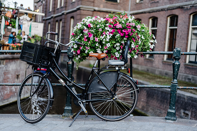 Imagem de uma bicicleta parada ao lado de um canal de Amsterdam