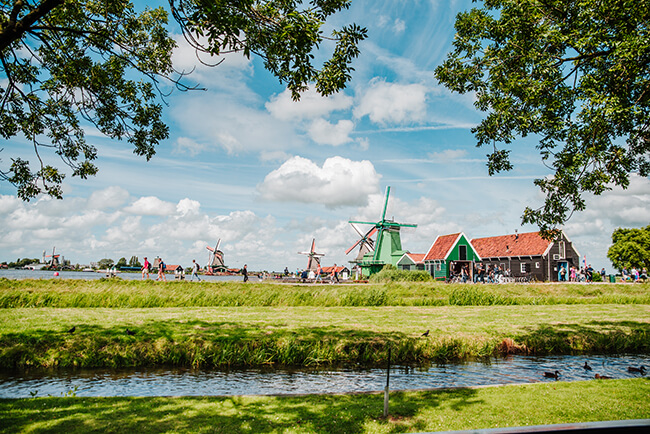 Imagem de campos verdes com os moinhos de vento holandêses no fundo