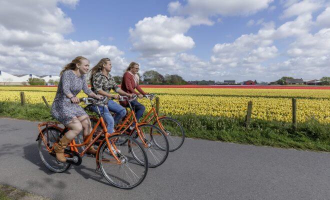imagem de turistas fazendo passeio de bicicleta com flores no fundo