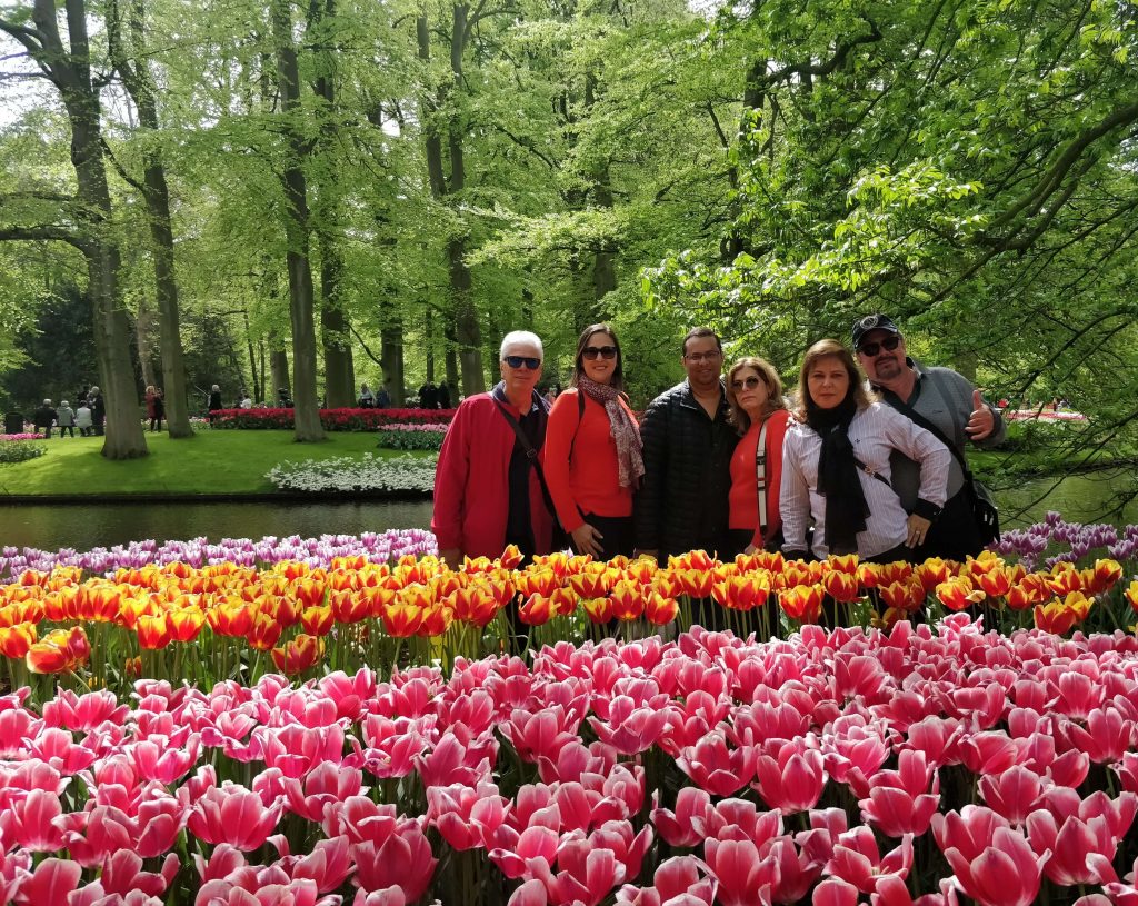 passeio guiado parque das tulipas keukenhof